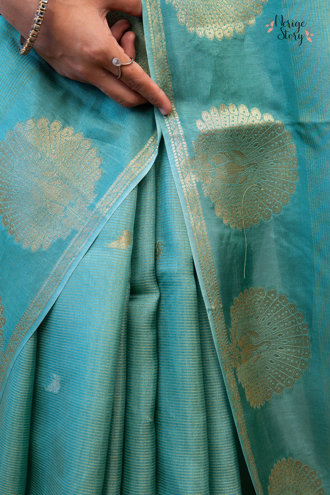 CHITRANI (चित्राणी)