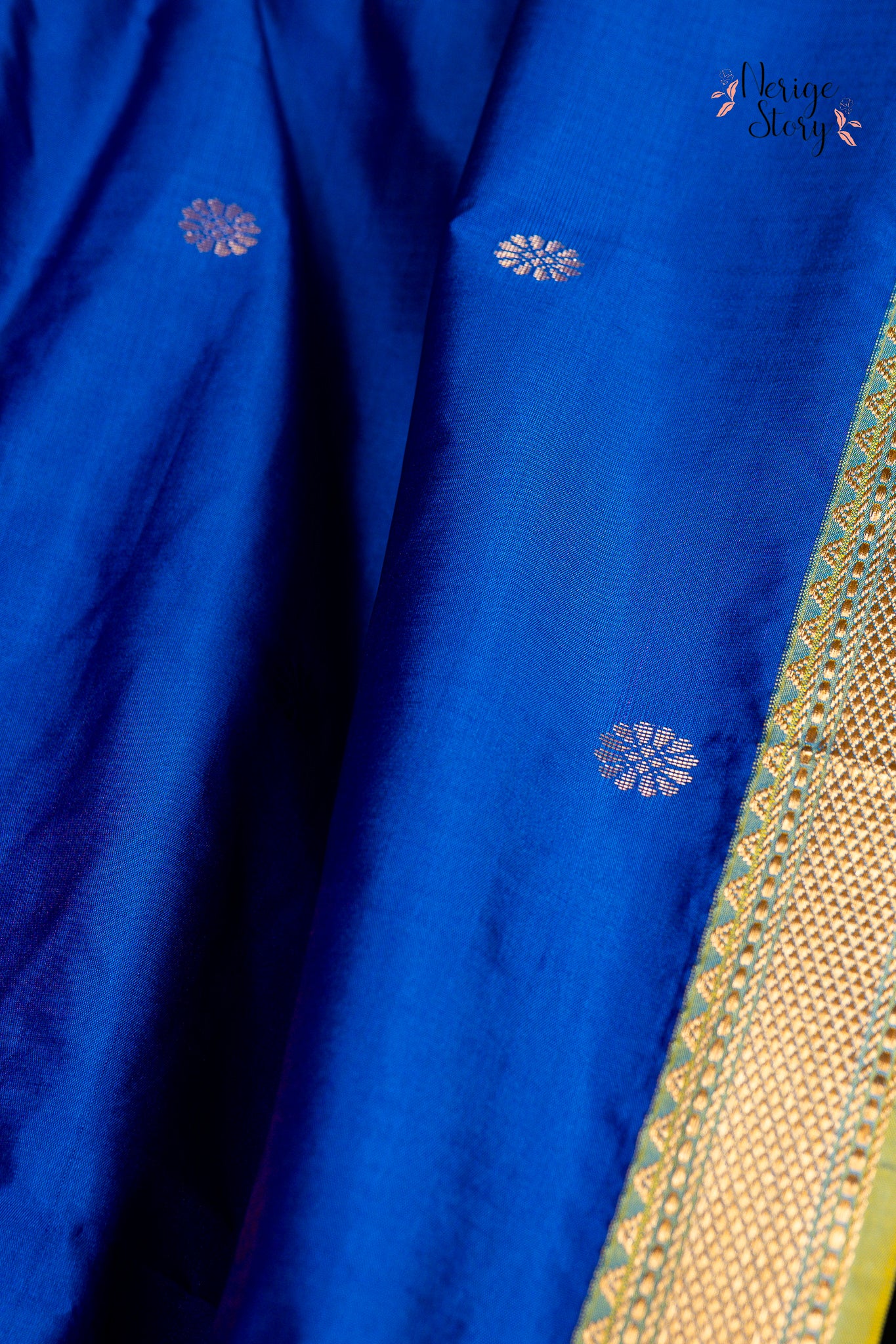 CHITRINI (चित्रिणी)
