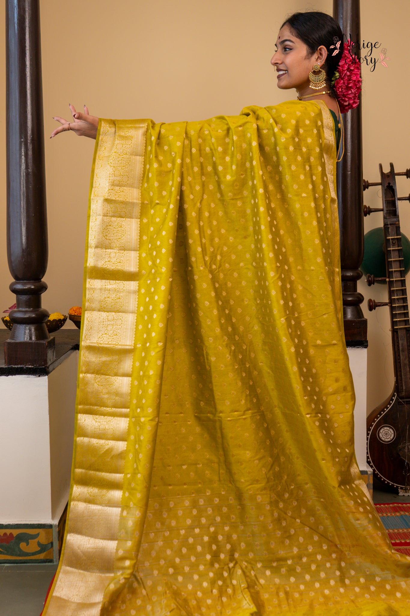 DAMINI (दामिनी)