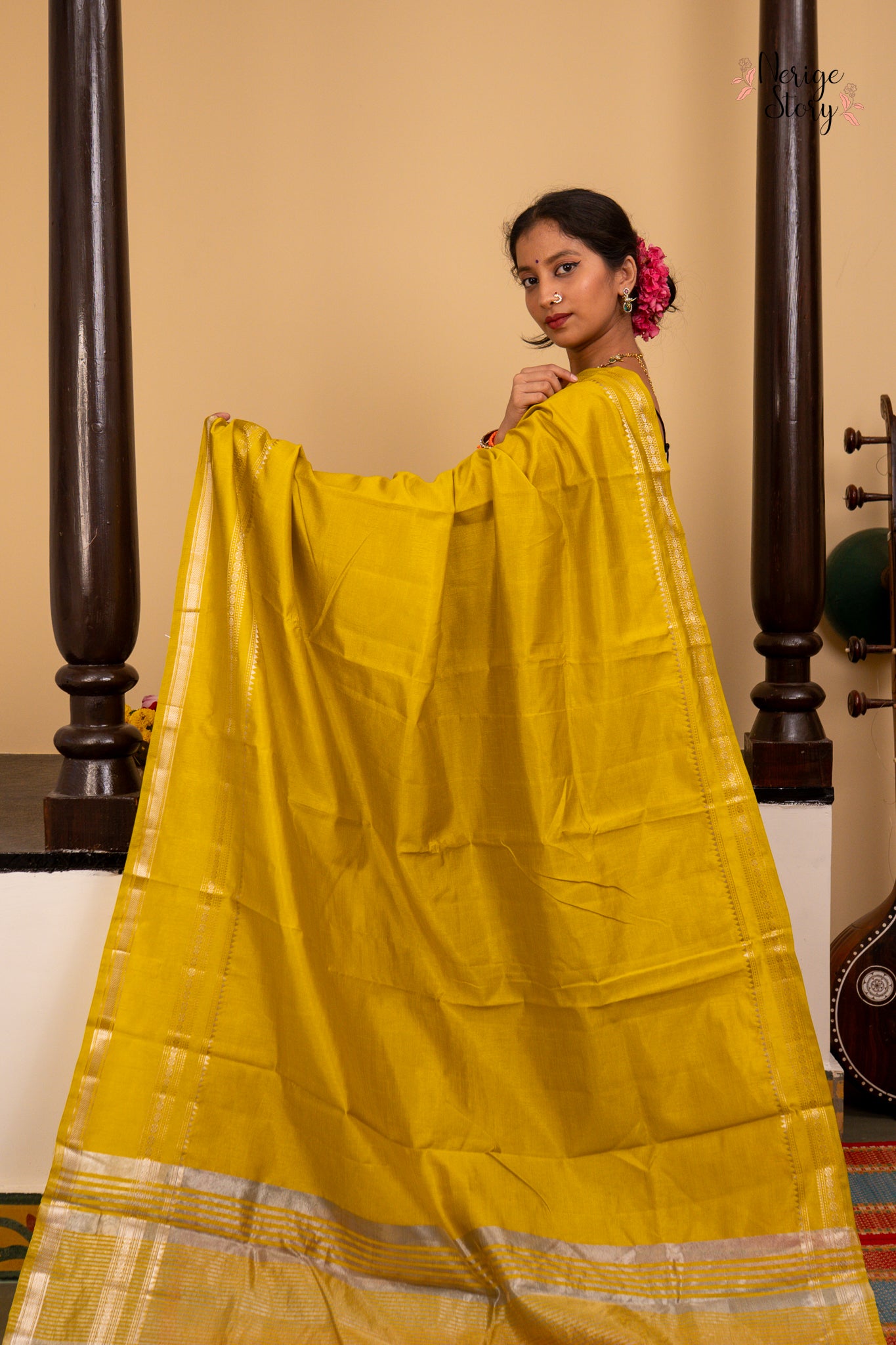 ANANDANI (आनंदनी)