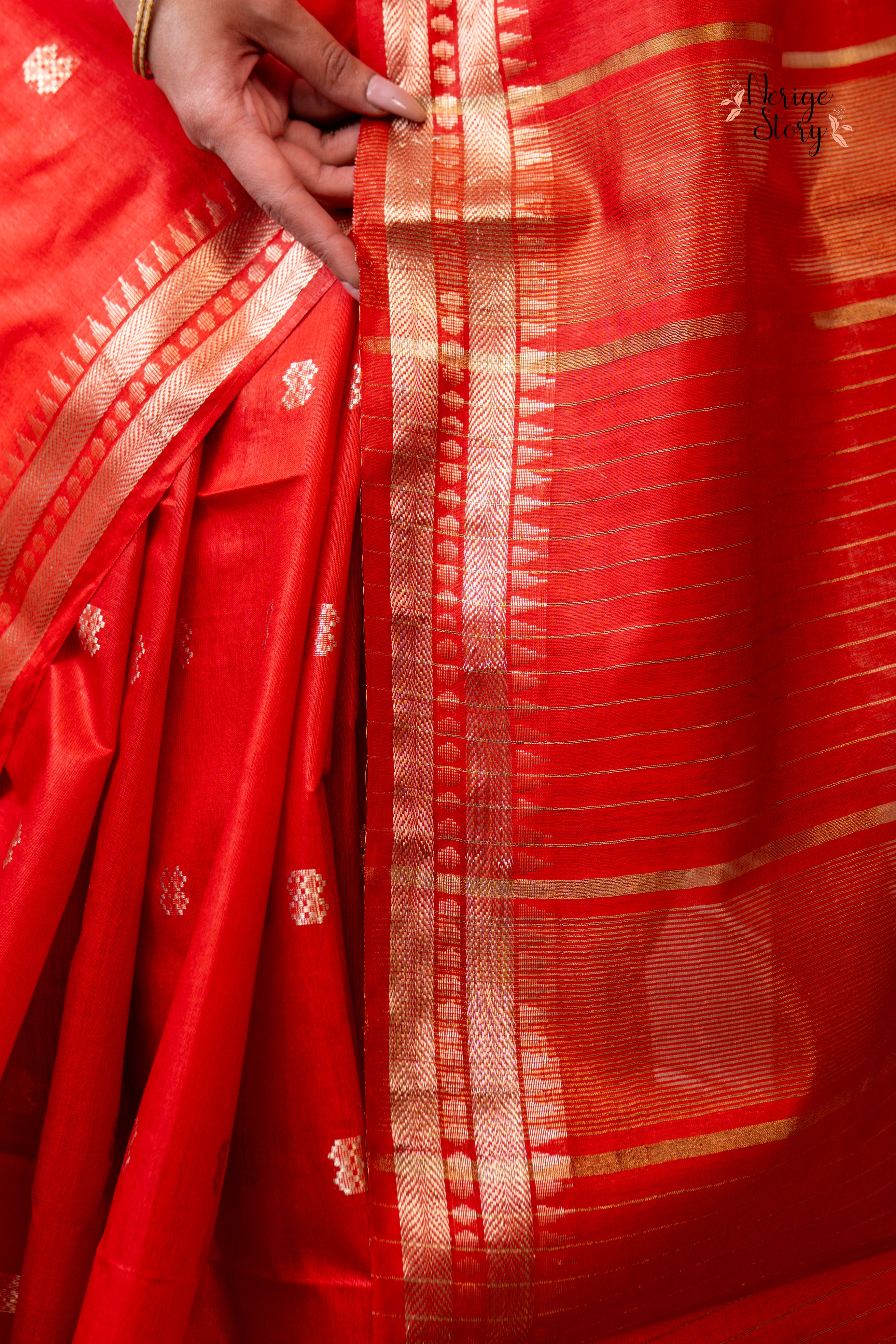 MANASVINI (मनस्विनी)