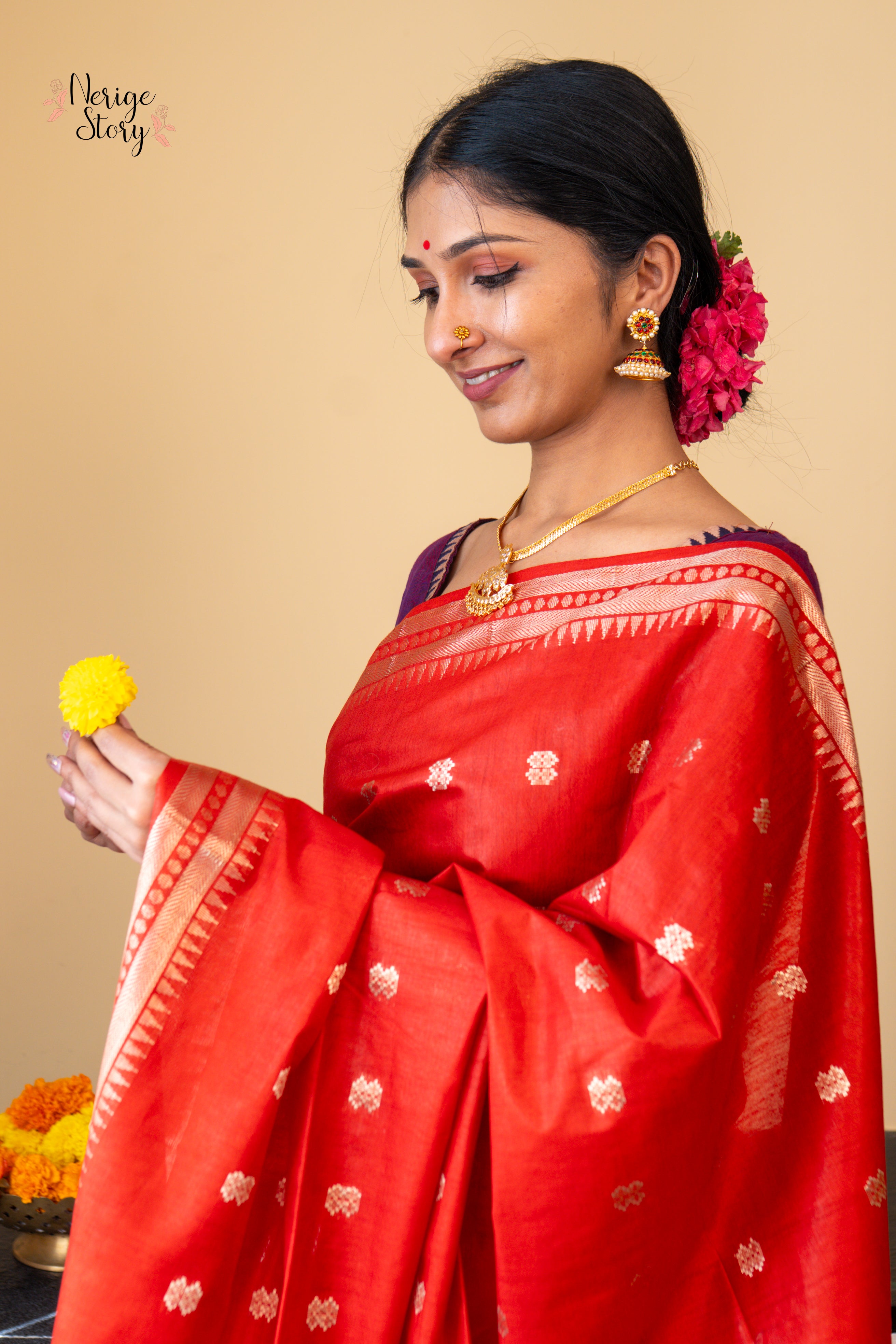 MANASVINI (मनस्विनी)