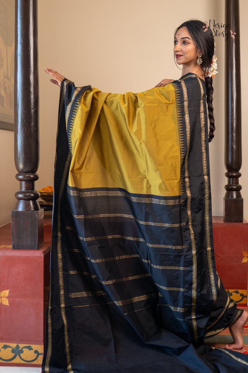 DIVYANGINI (ದಿವ್ಯಾಂಗಿನಿ)