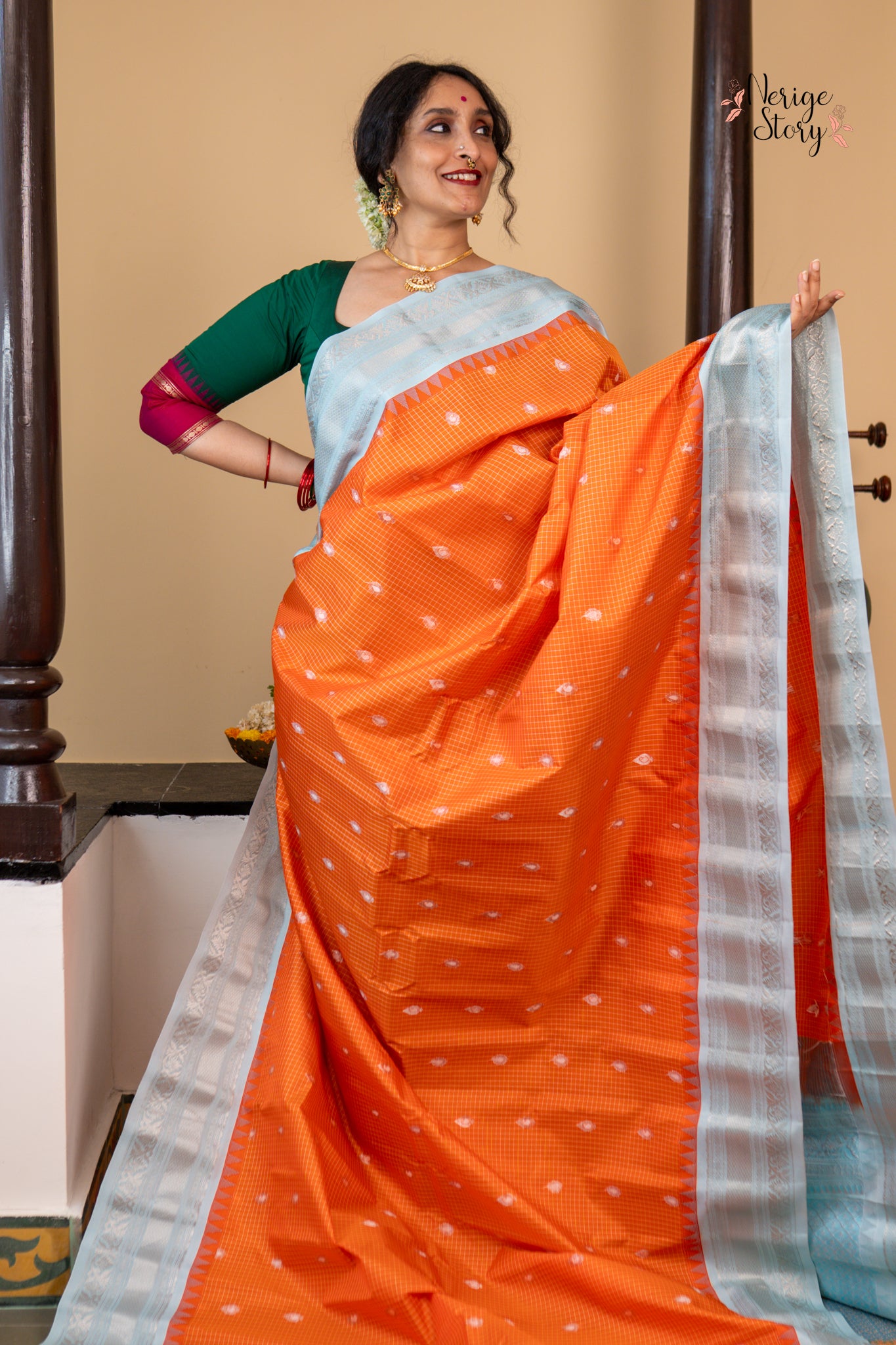 SARVINA (సర్వినా)