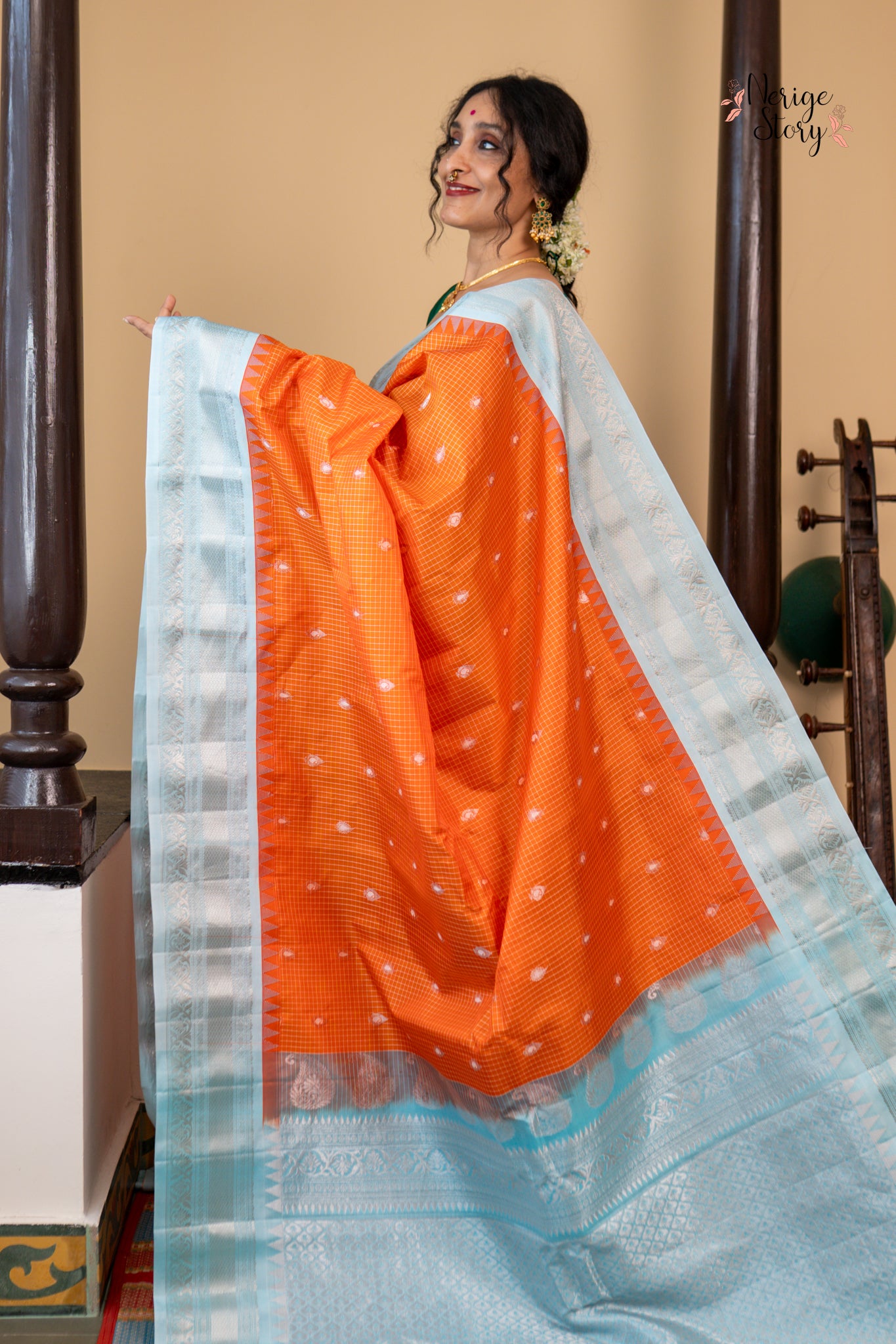 SARVINA (సర్వినా)