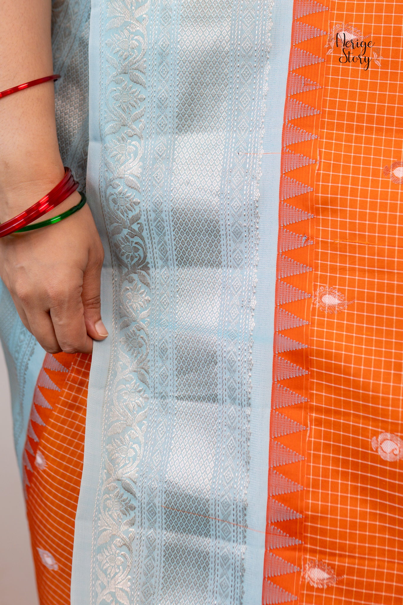SARVINA (సర్వినా)