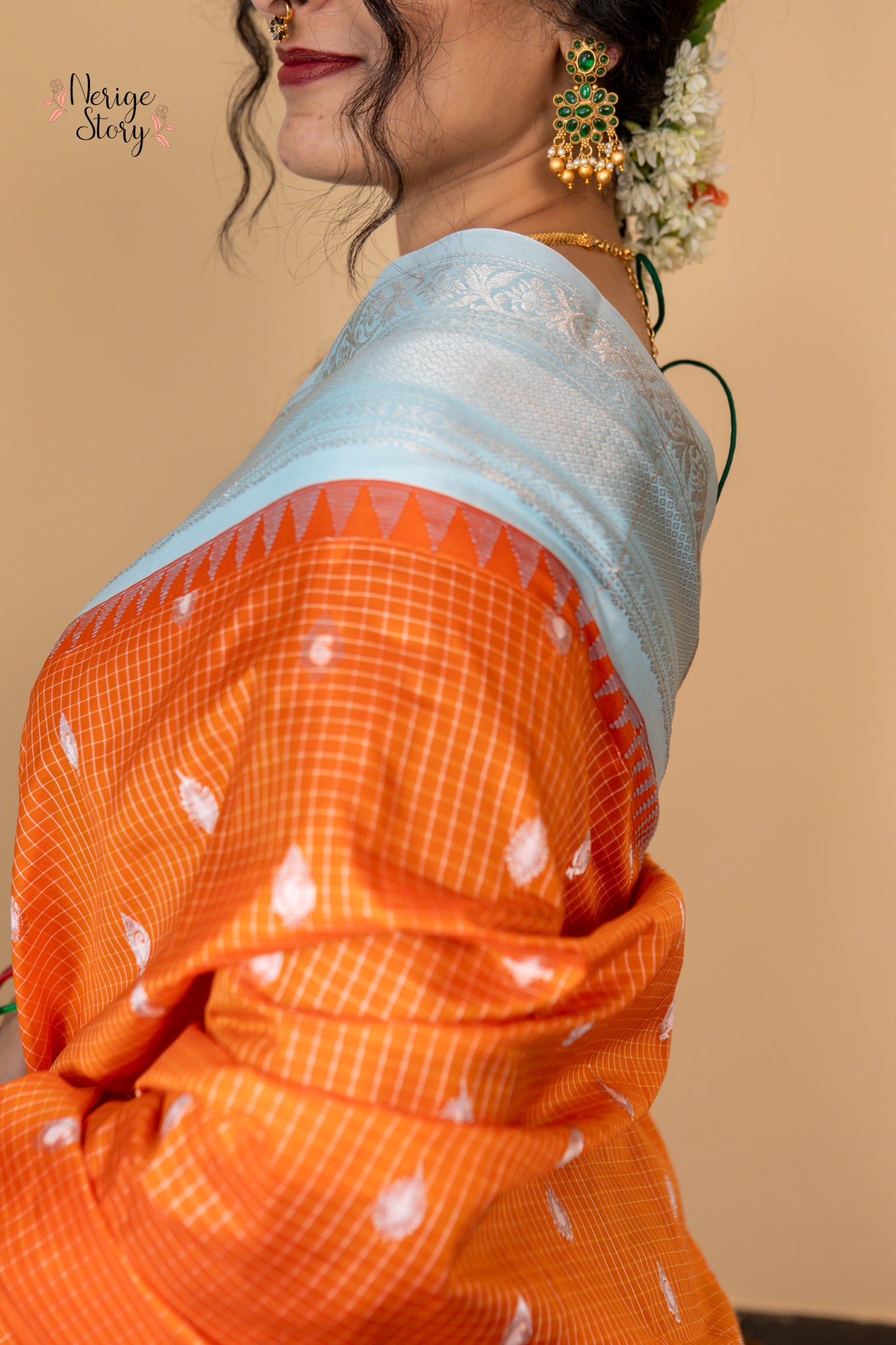 SARVINA (సర్వినా)