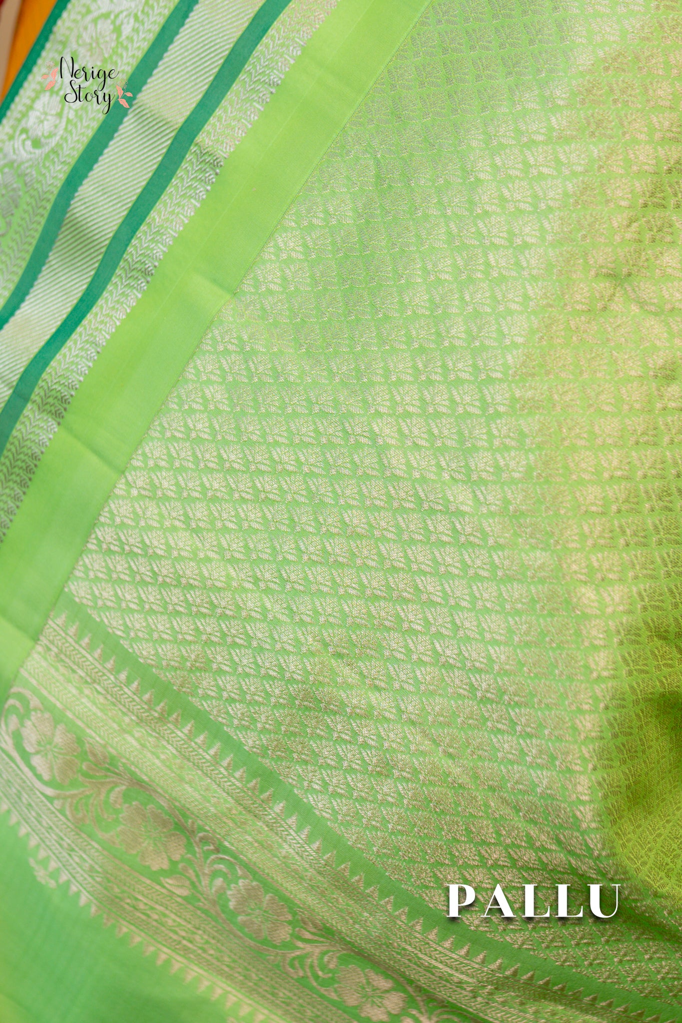 TANIRA (తనీరా)