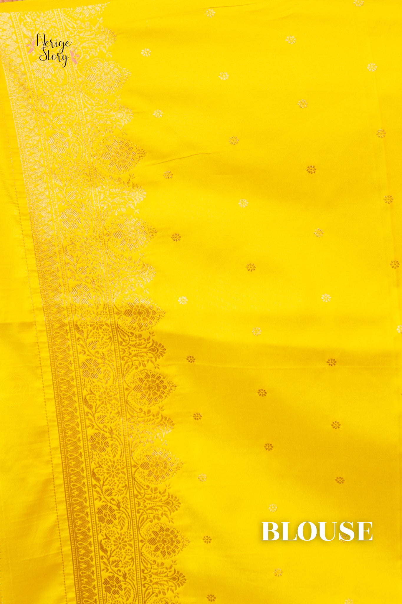 AMODITA (आमोदिता)