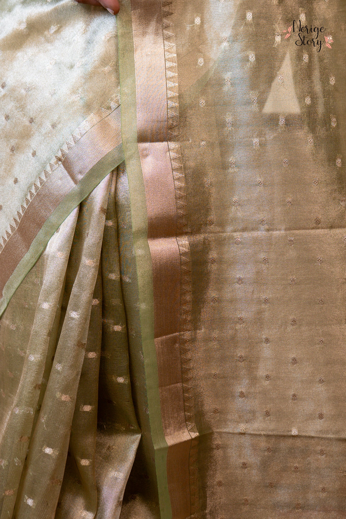 AVIRBHAVI (अविर्भावी)