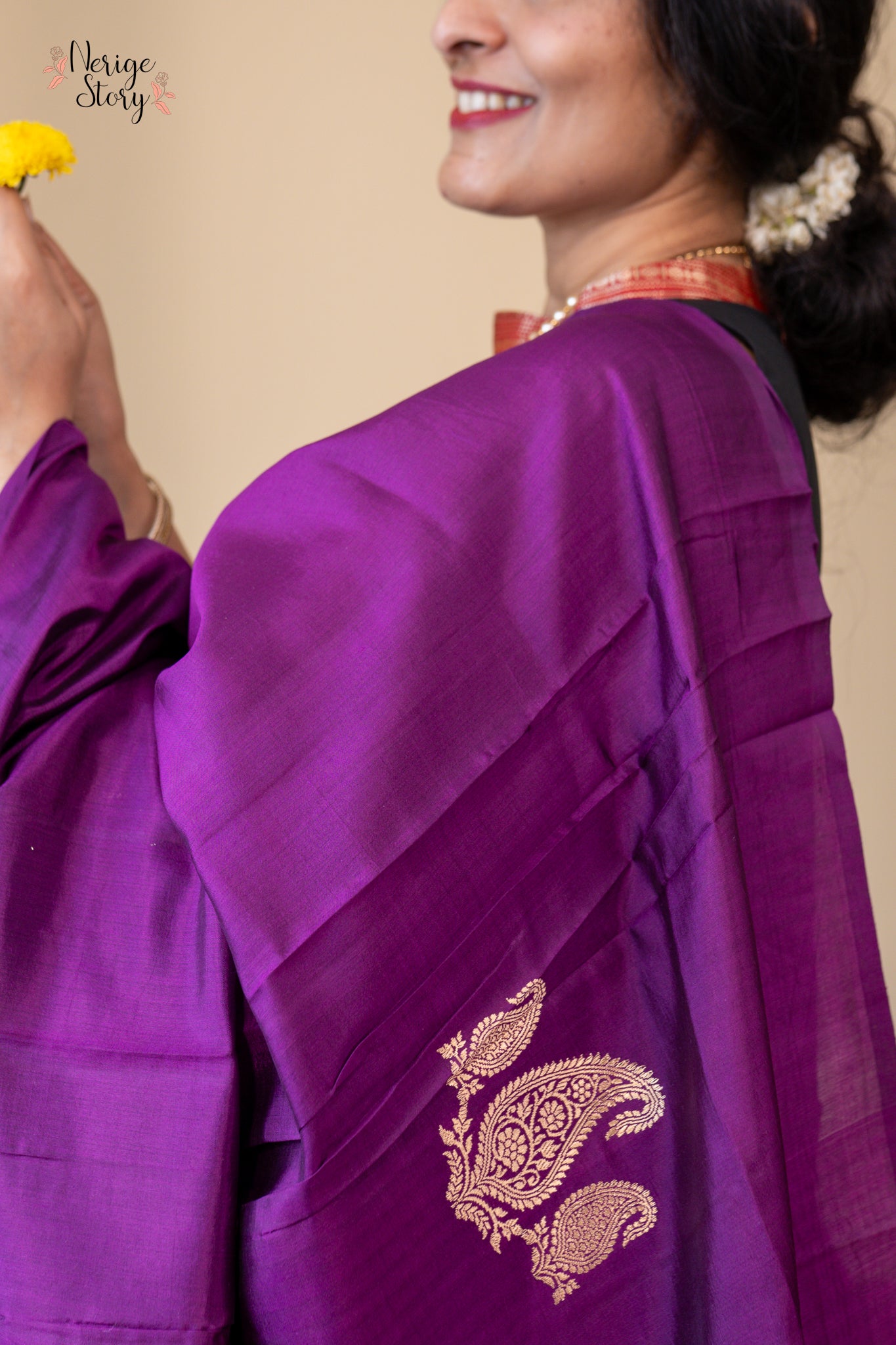 RAJNANDINI ( राजनंदिनी )