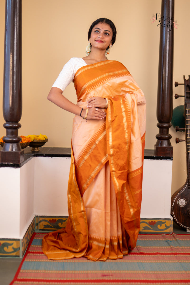 MRIDANI (ಮೃದಾನಿ)
