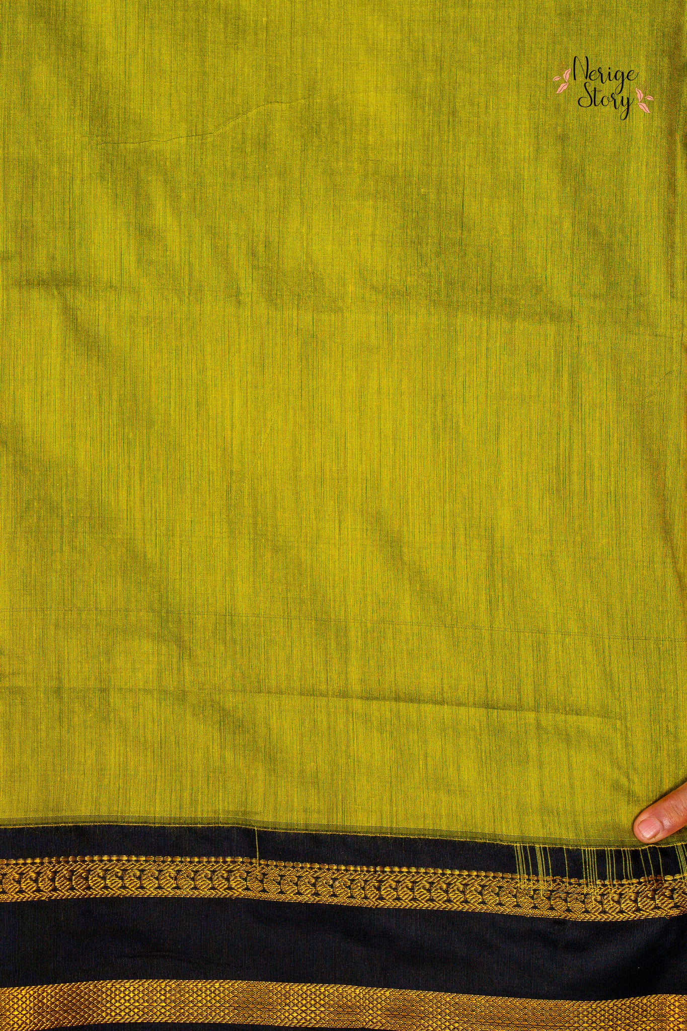 Saree - 1019
