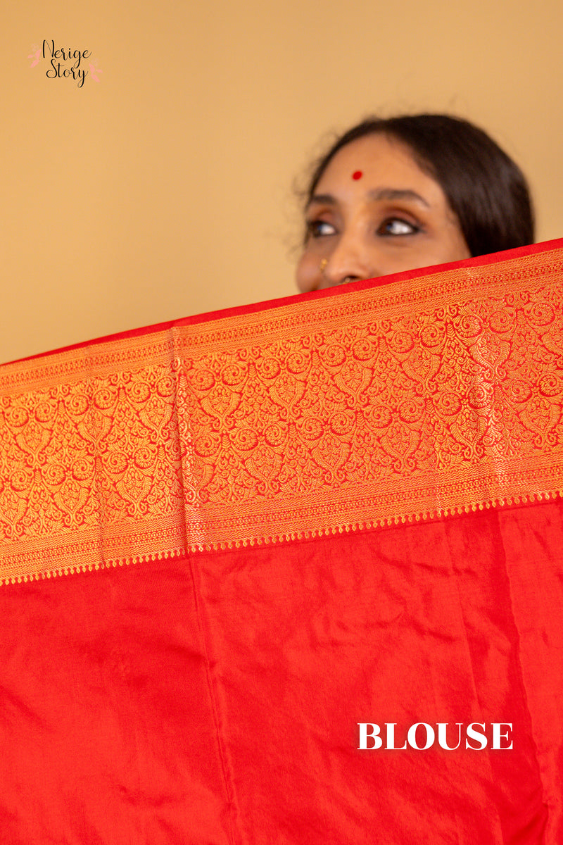 BHANU PRIYA (பானு பிரியா)