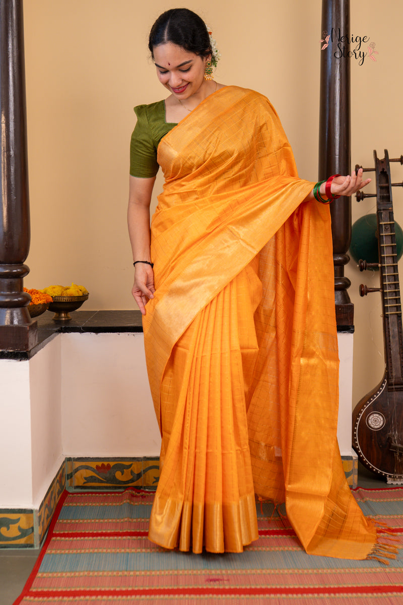 PARINITA (परिणिता)