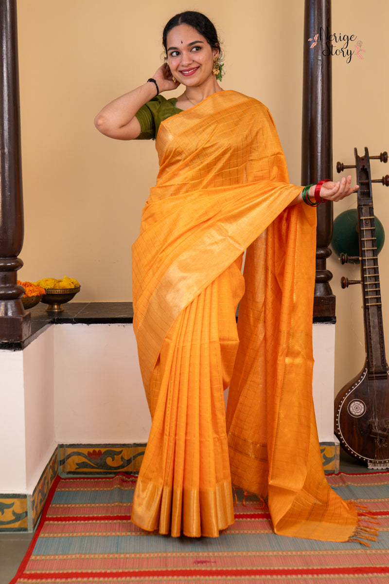 PARINITA (परिणिता)