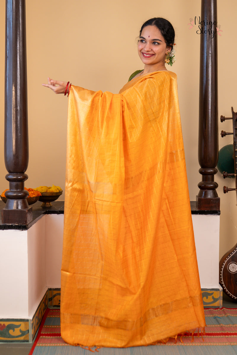 PARINITA (परिणिता)