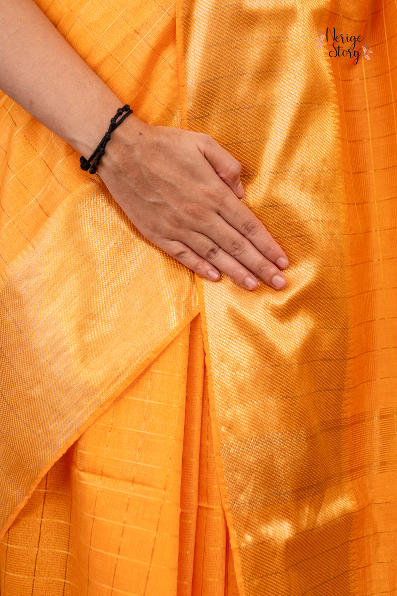 PARINITA (परिणिता)