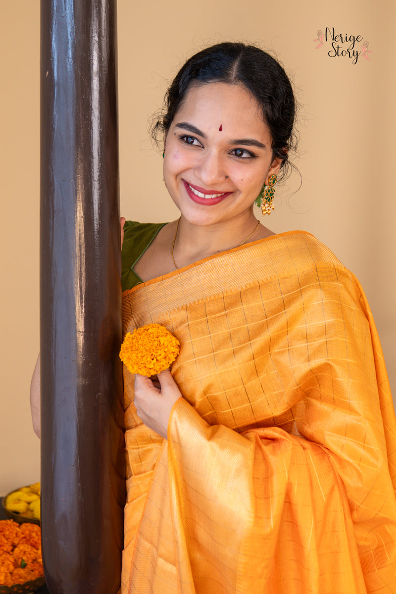 PARINITA (परिणिता)