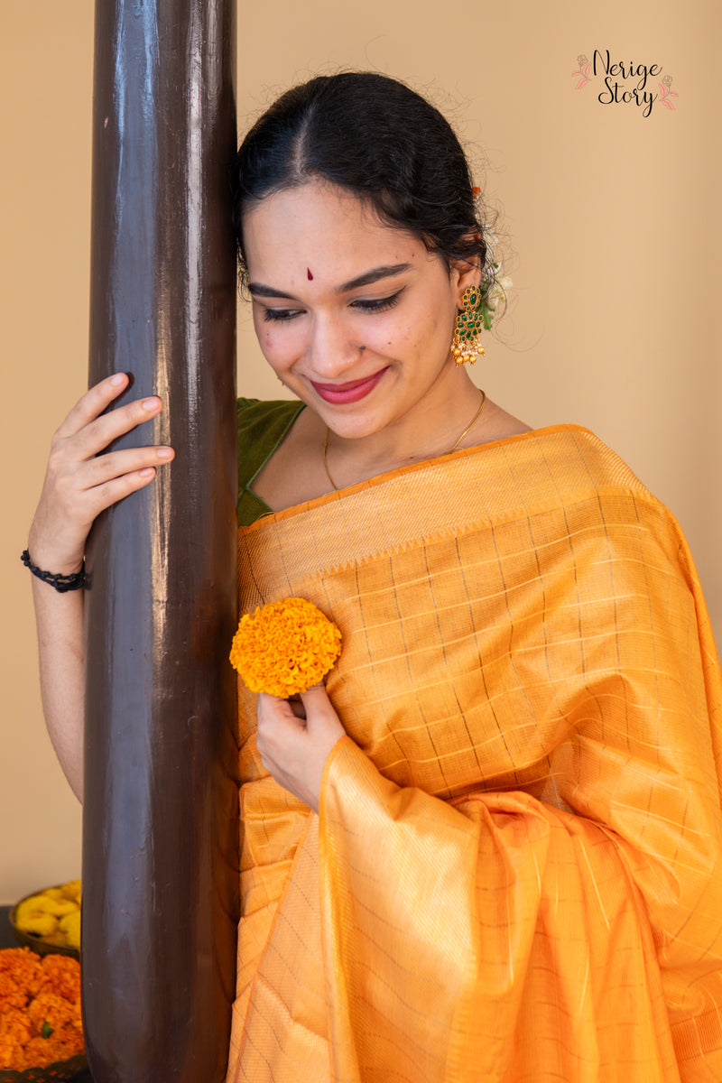 PARINITA (परिणिता)