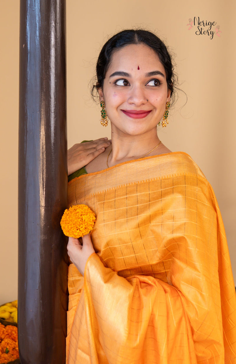 PARINITA (परिणिता)