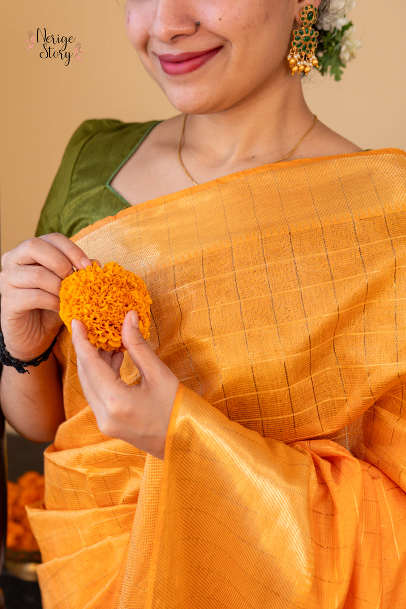 PARINITA (परिणिता)