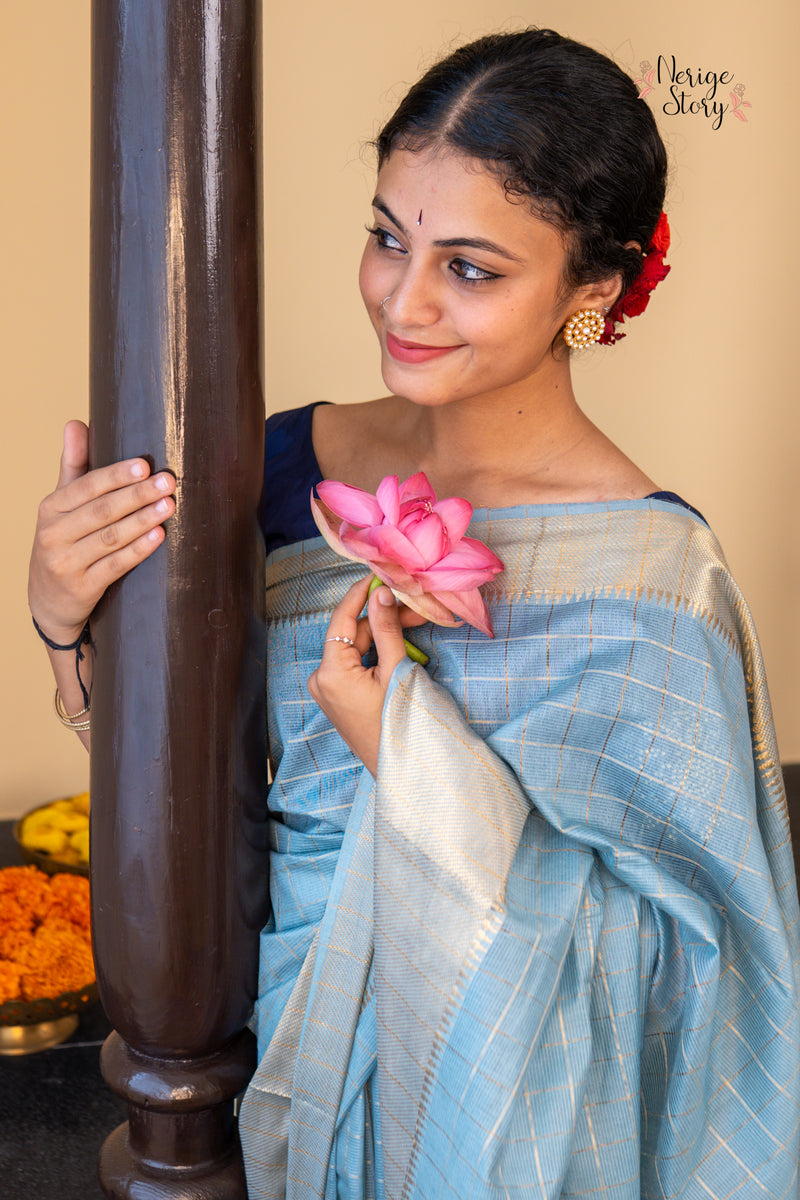 NANDINI (नंदिनी)