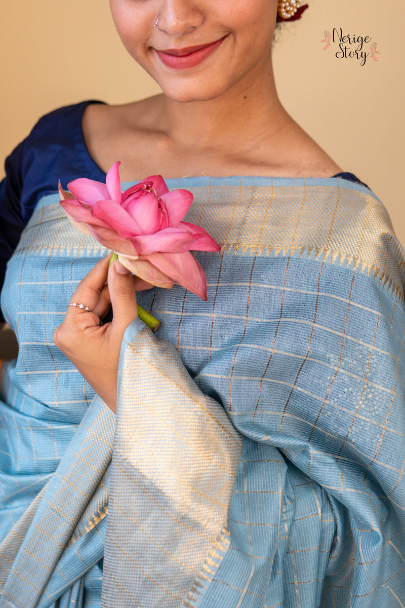 NANDINI (नंदिनी)