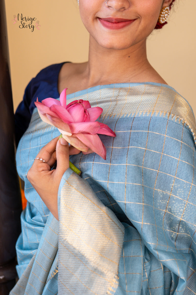 NANDINI (नंदिनी)