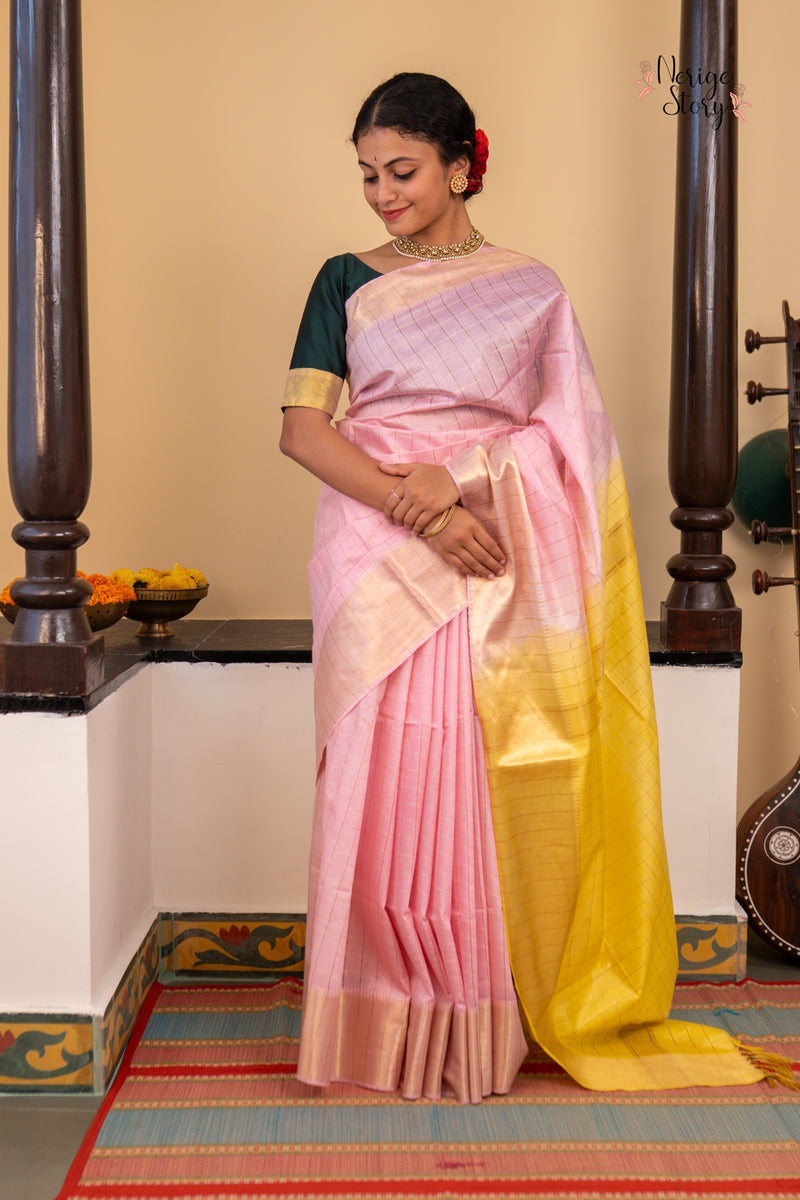 SHARVANI (शर्वणी)