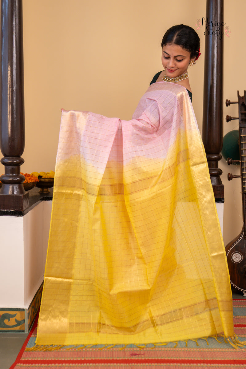 SHARVANI (शर्वणी)