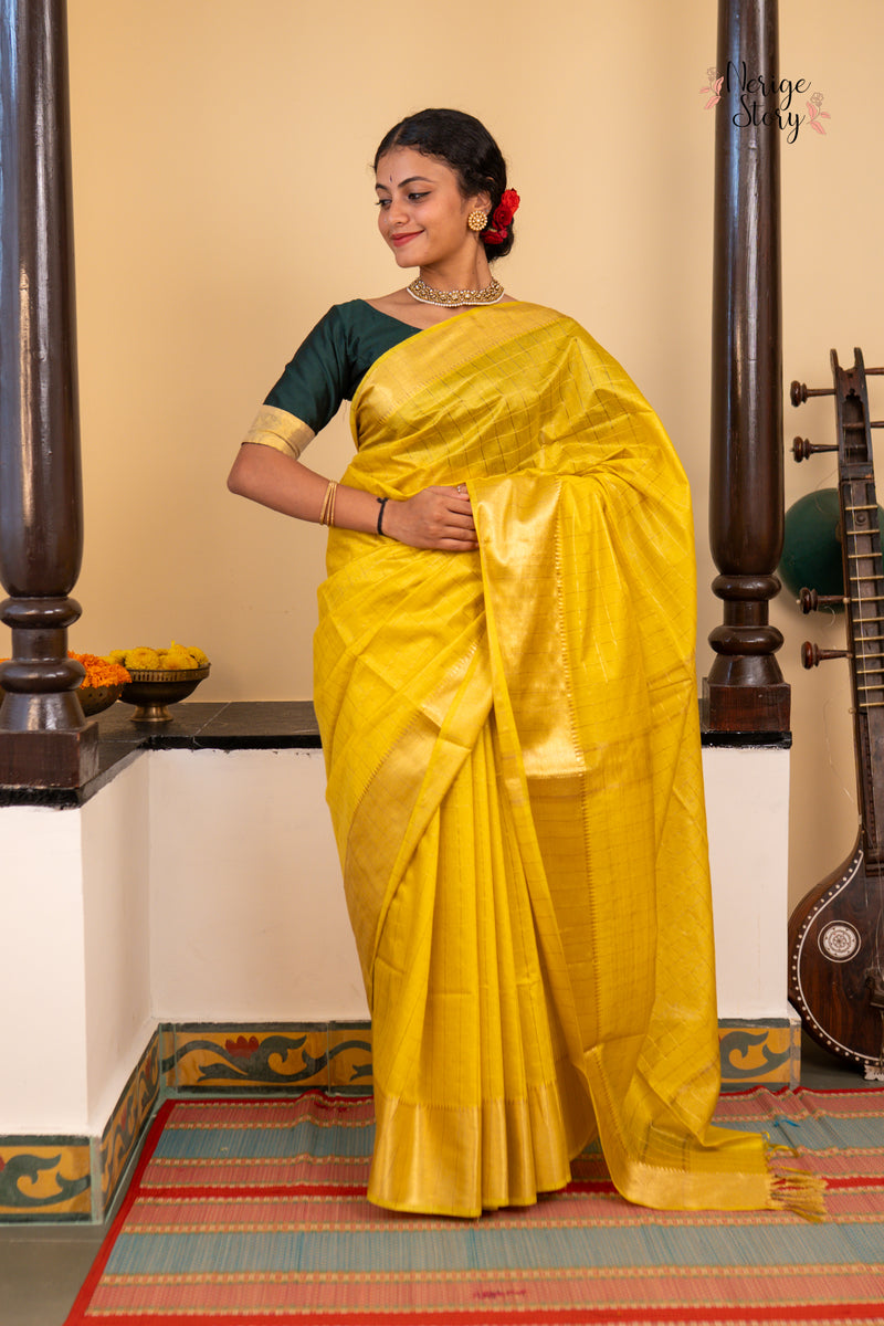 SWAPNA (स्वप्ना)