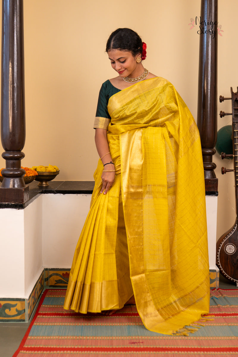 SWAPNA (स्वप्ना)