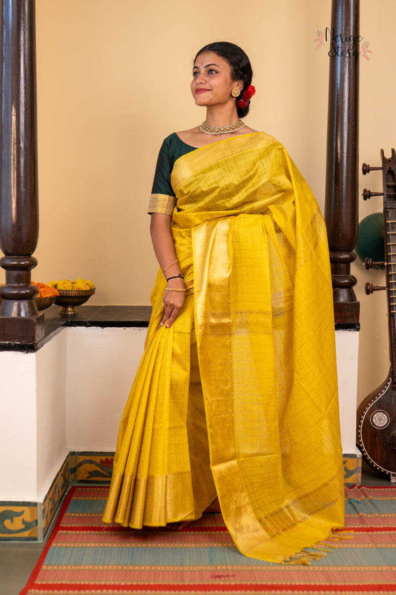 SWAPNA (स्वप्ना)