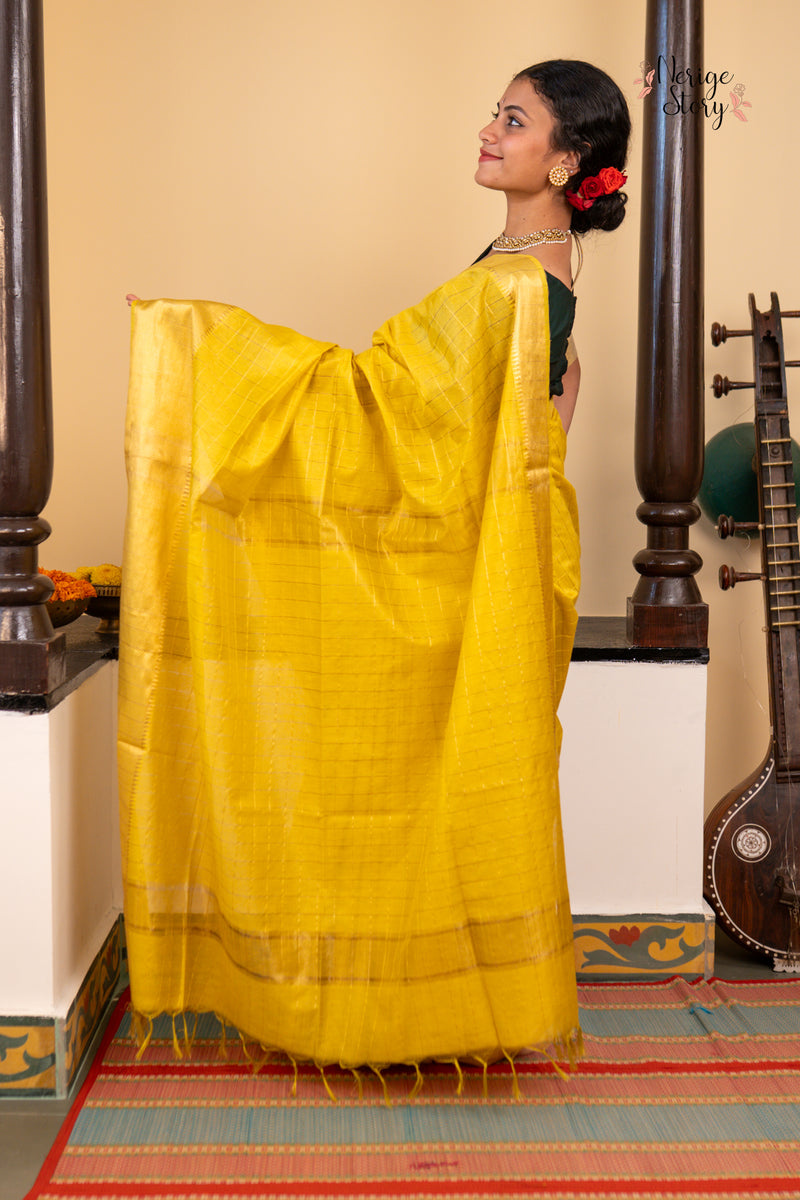 SWAPNA (स्वप्ना)