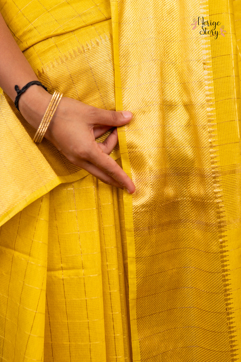 SWAPNA (स्वप्ना)