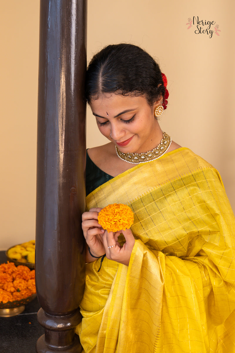 SWAPNA (स्वप्ना)