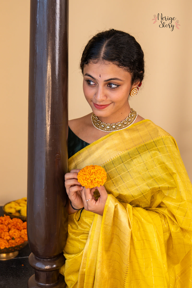 SWAPNA (स्वप्ना)