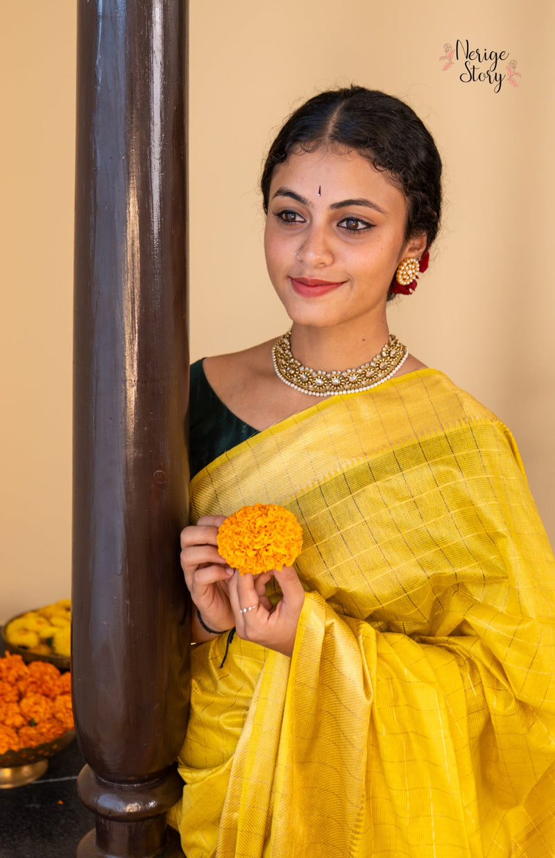 SWAPNA (स्वप्ना)