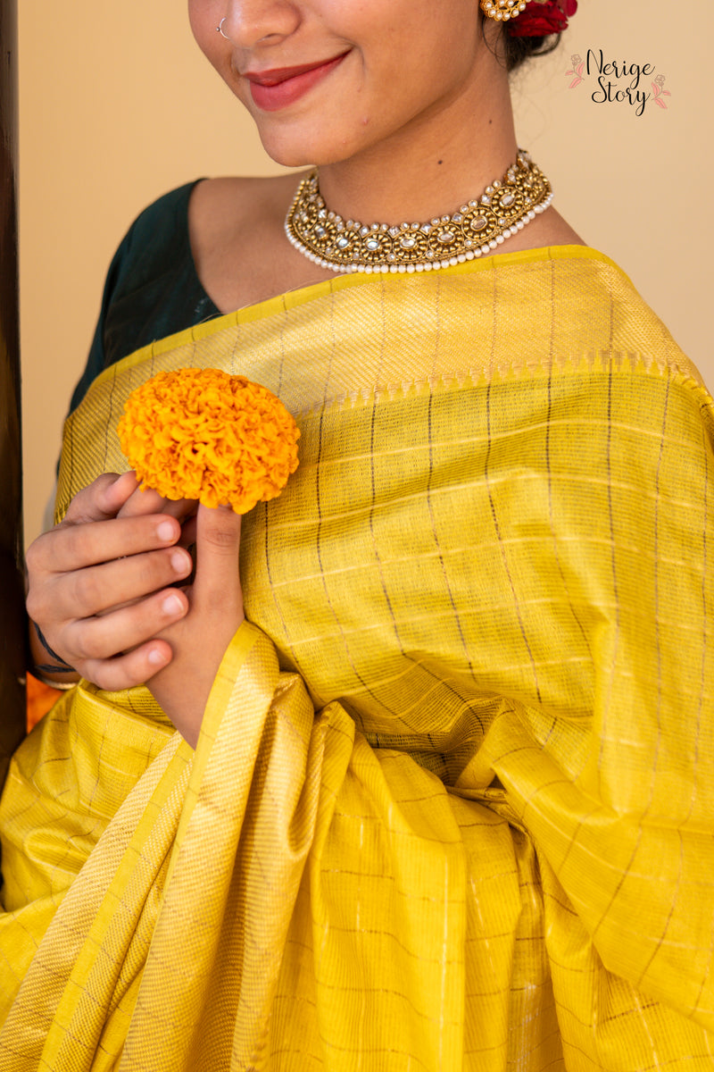 SWAPNA (स्वप्ना)