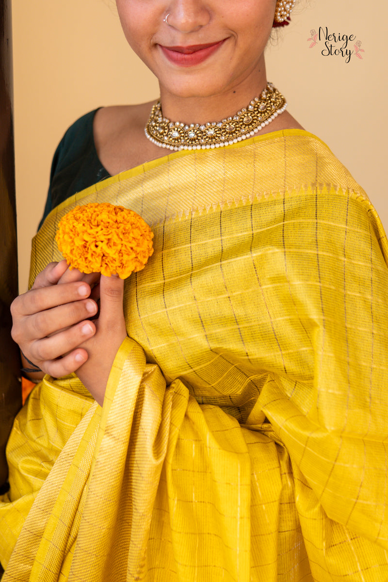 SWAPNA (स्वप्ना)