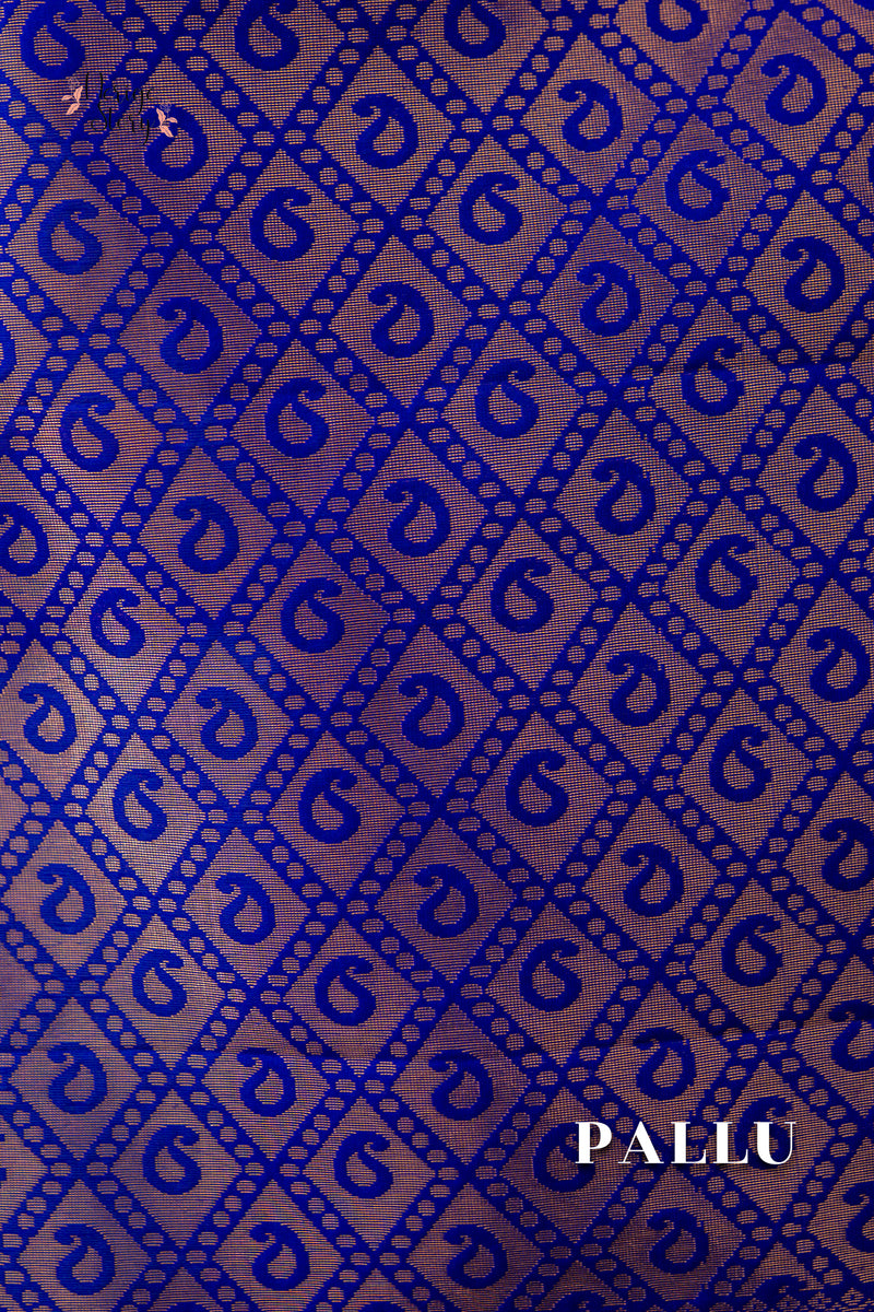 MEGHNISHA (ಮೇಘನಿಶಾ)