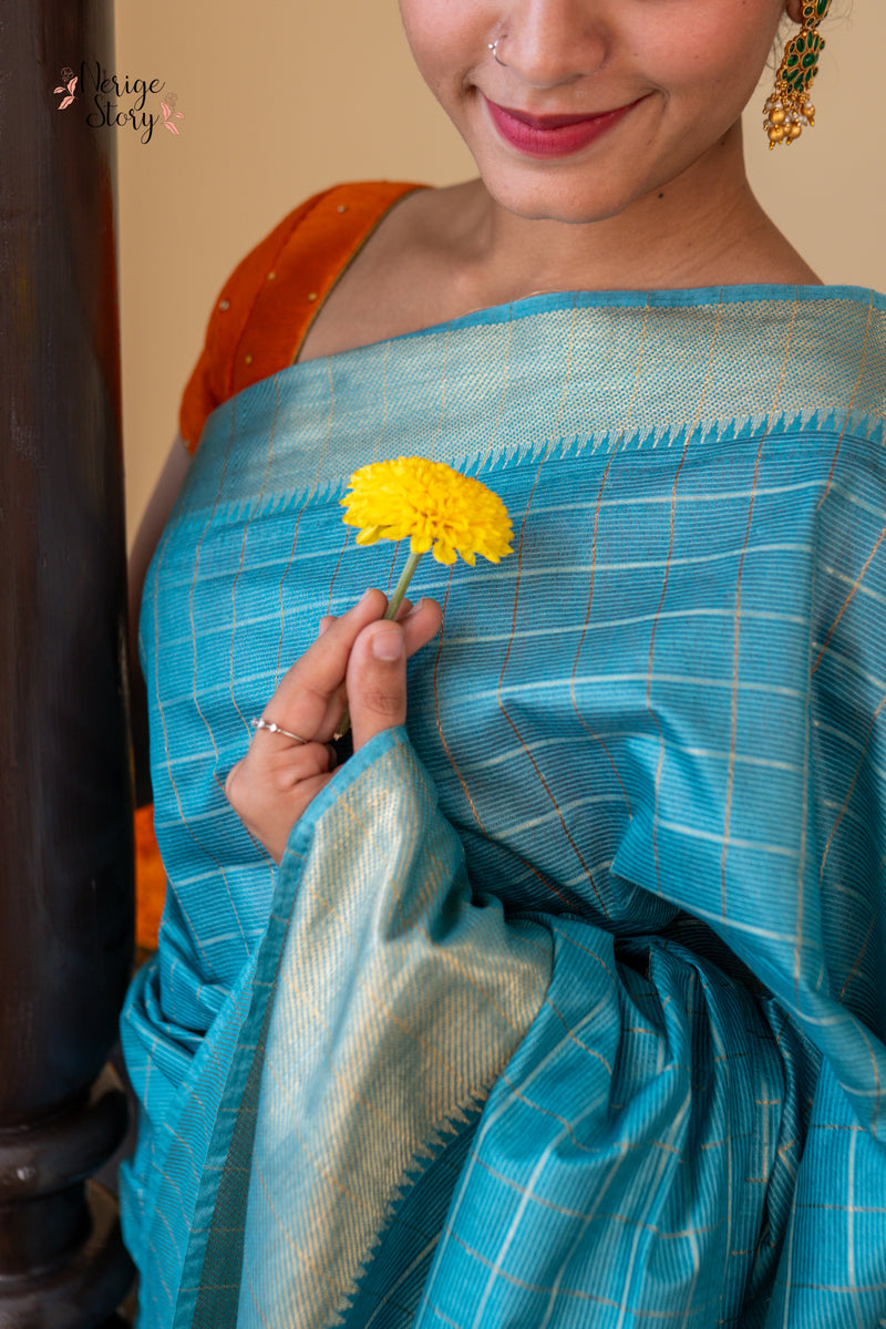 VILASINI (विलासिनी)