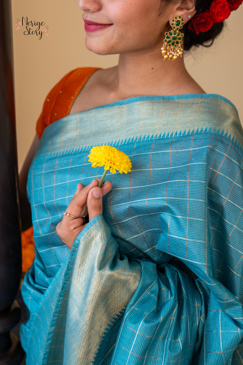 VILASINI (विलासिनी)