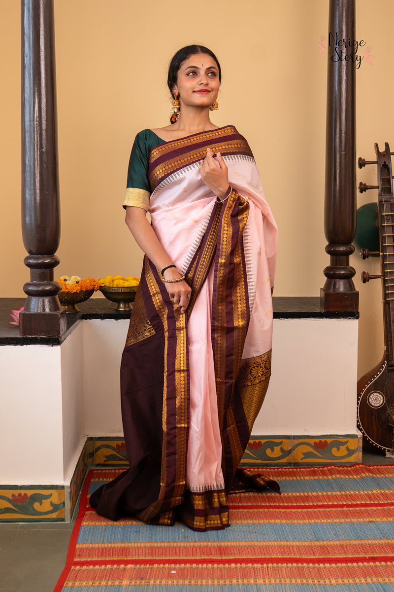 VALLARI (വല്ലരി)
