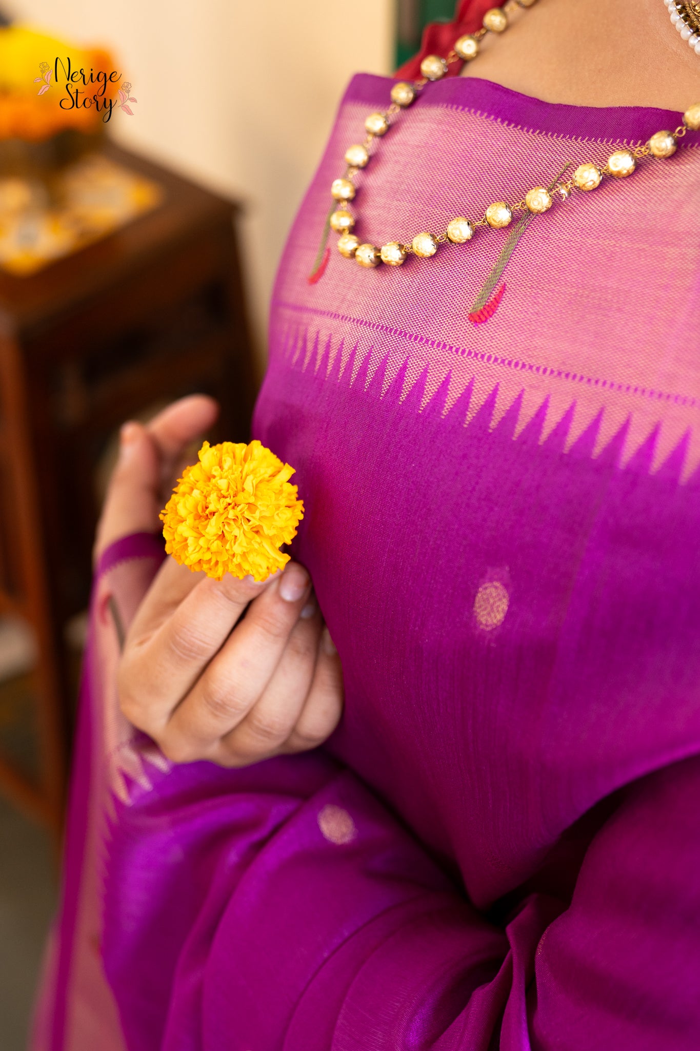 SANTATI (संतति)