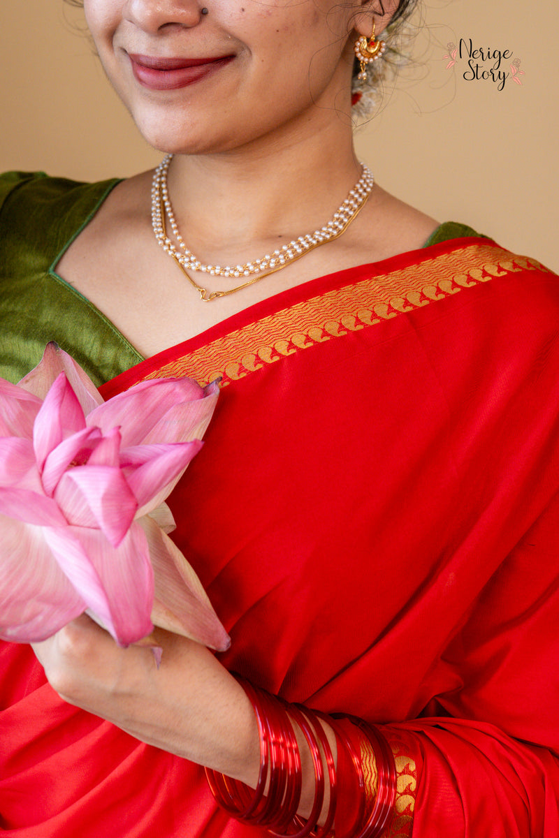 DRISHTI (ದೃಷ್ಟಿ)