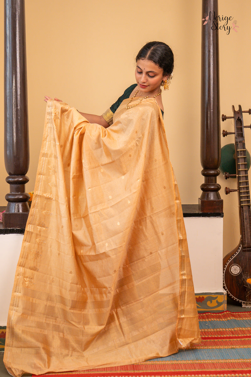 JAYANI (जयनी)