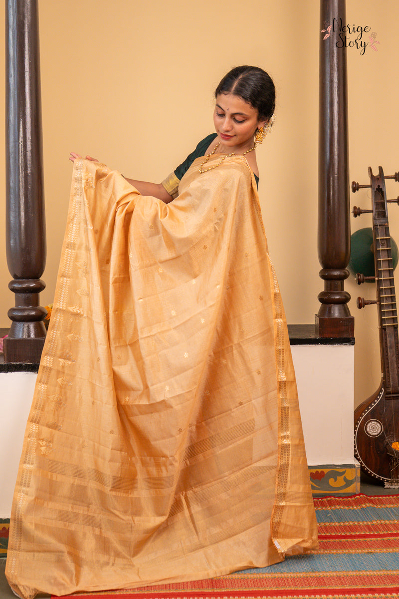 JAYANI (जयनी)