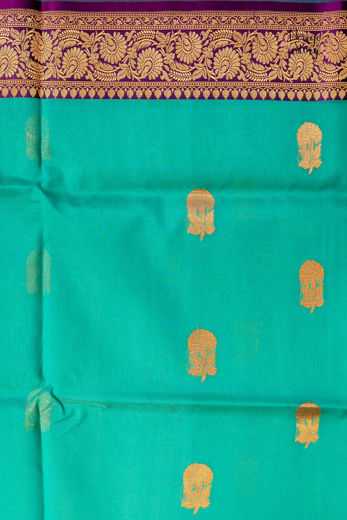 ISHANVI (ईशान्वी)